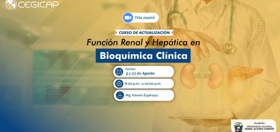 función renal y hepática en bioquímica clínica